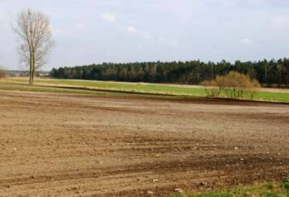 Pół naturalne Wykształcają się i utrzymują dzięki oddziaływaniu człowieka.