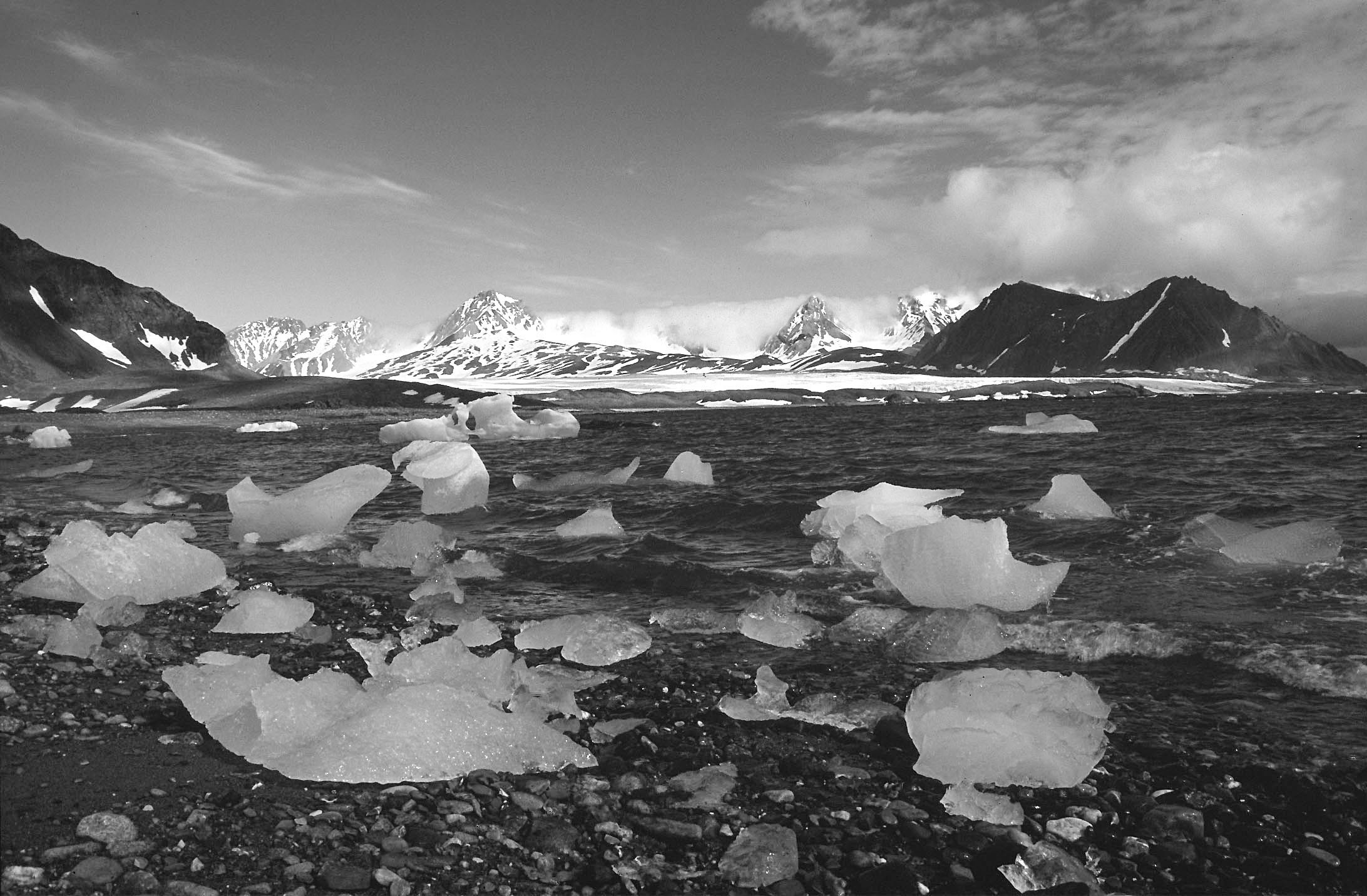 306 Naukowe szkoły botaniczne w Krakowie Ryc. 1. Spitsbergen, fiord Hornsund, w tle Hansbreen. Fot. P. Osyczka.