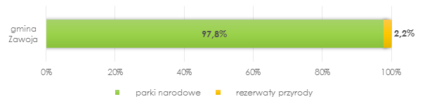 W analizowanym okresie czasu 2615,35 hektarów, czyli 20,3% powierzchni całej gminy Zawoja stanowiły obszary prawnie chronione.