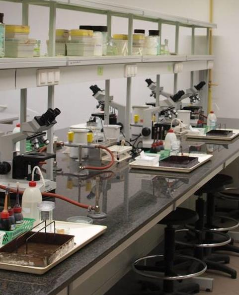 Instytut Genetyki i Mikrobiologii dysponuje nowoczesną aparaturą naukowo-badawczą oraz rozbudowanym zapleczem dydaktycznym