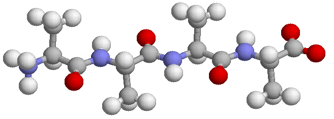 a) Kierunkowość łańcucha, nazewnictwo b) R 1 + 3N C α C N C α O C N R 3 C α C N C α C O O R 2 O R 4 O + N- koniec C- koniec a) 4-Alanina lub tetra-alanina, b) tetrapeptyd o sekwencji R 1 R 2 R 3 R 4