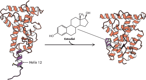 Struktura IV-rzędowa Ferytyna - 24mer (1BG7.pdb) Insulina (1AP.