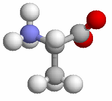 Ogólna budowa aminokwasów - alanina α N 2 C α COO C 3 R = C 3 alfa- amiokwasy L - aminokwasy