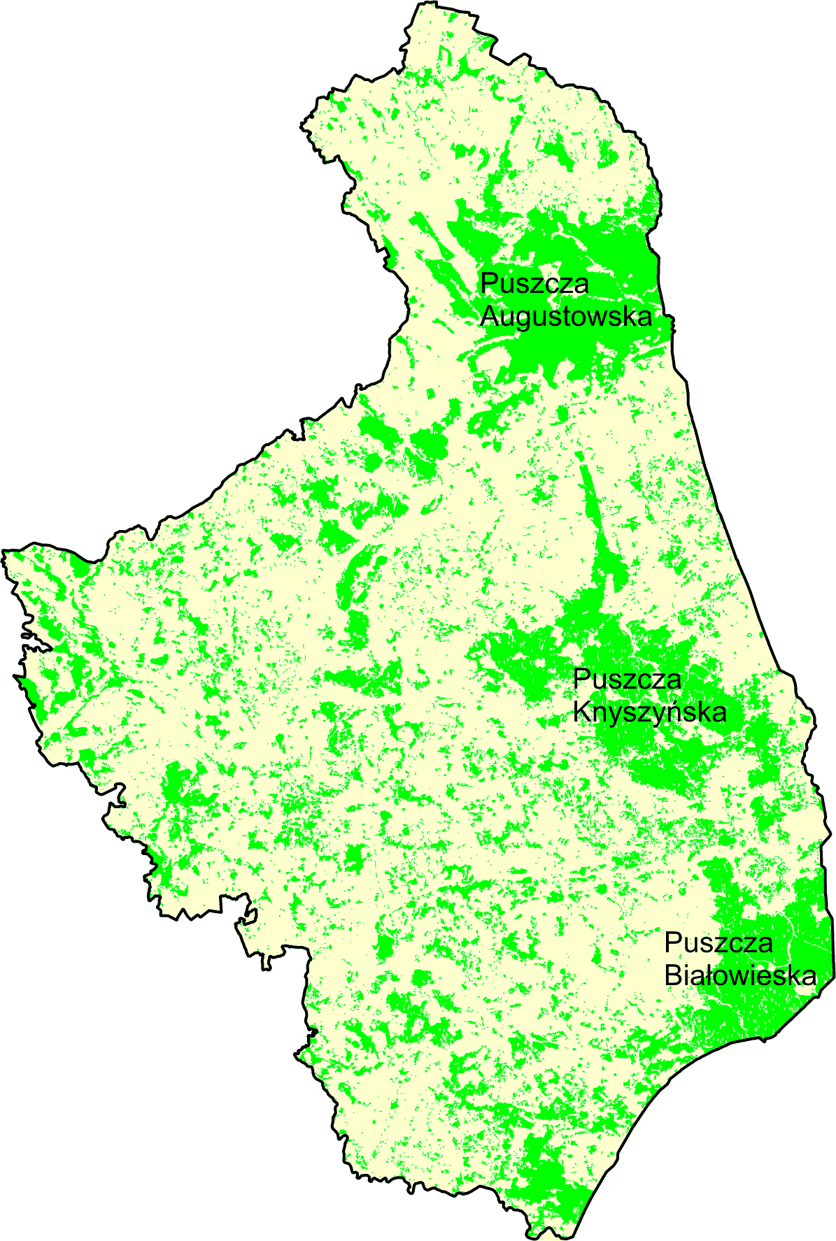 krajowej (28,8%) co plasuje podlaskie na 7 miejscu w skali kraju. Rozmieszczenie lasów w województwie jest nierównomierne.
