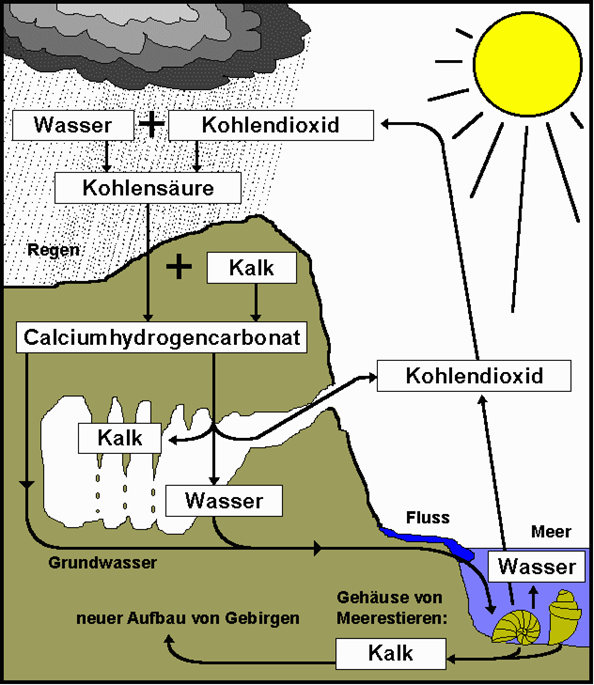 Woda Dwutlenek węgla H 2 O + CO 2 H 2 CO 3 Kwas węglowy Deszcz Wapień Wodorowęglan wapnia Dwutlenek węgla H 2 CO 3 + CaCO 3 Ca 2+ (HCO 3-
