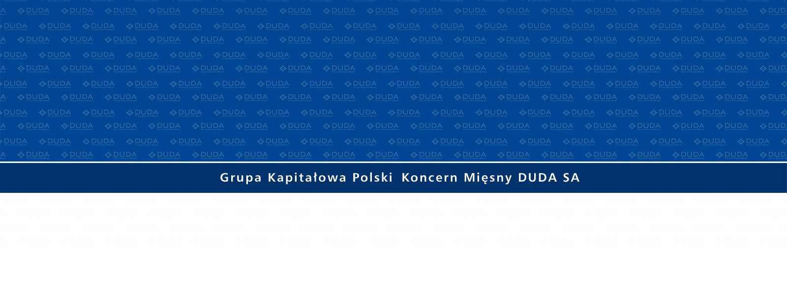 I. Informacje ogólne o PKM Duda. II.