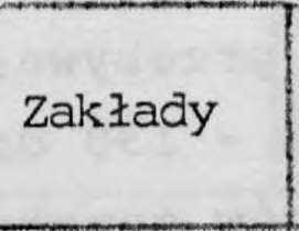 18 W 22 domach pomocy społecznej w 1993 roku było 1678 mejsc, tj. o 166 węcej nż przed rokem. Najwęcej zakładów, tj. 8, to domy dla przewlekle chorych dorosłych z 582 mejscam.