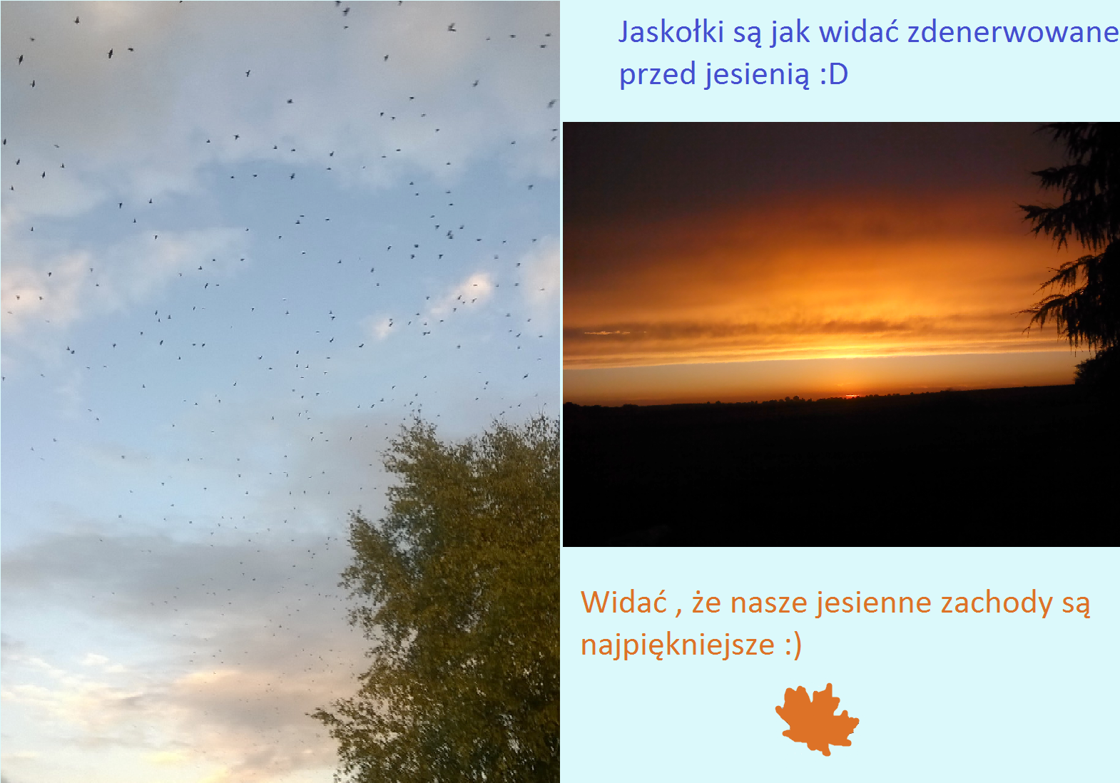 JESIEŃ W