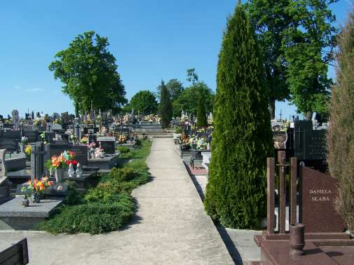 Fot. 4 Stary cmentarz parafii w Rogowie, na terenie obrębu Olsza Źródło: fot.