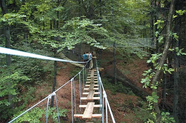 Śnieżnickiego Parku Krajobrazowego i dawnego kamieniołomu w Złotym Stoku, obok kopalni złota. Główną jego atrakcją jest Tyrolska 500 m zjazd na stalowej linie nad wąwozem.