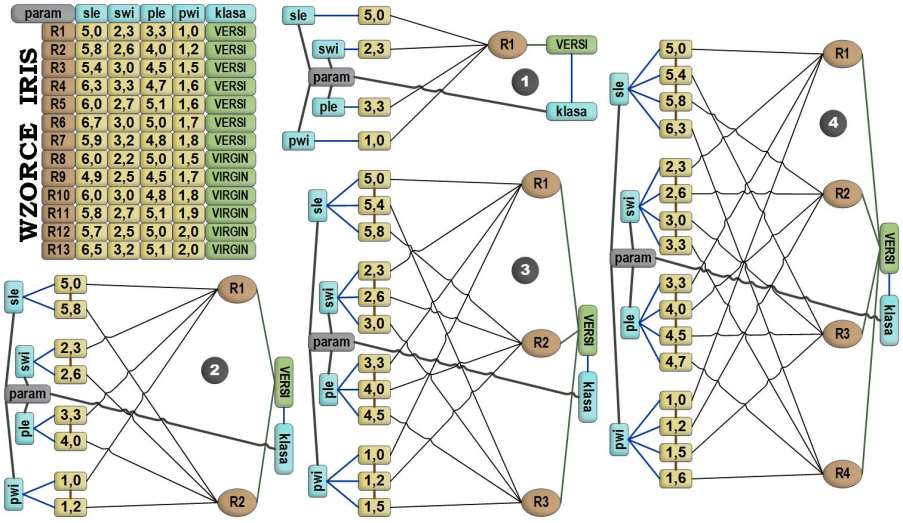 Tworzenie asocjacyjnej neuronowej grafowej struktury danych dla danych zbioru uczącego Iris Poszczególne wartości