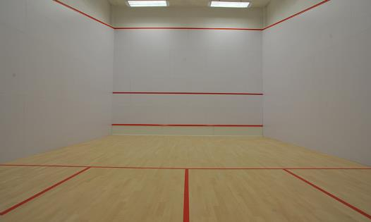 Mysłowice - siłownia, sala Squash i fitness W trakcie czynności kontrolnych obiektów sportowych oceniano szczególnie: stan sanitarno-techniczny pomieszczeń bloku sportowego, prawidłowe przechowywanie