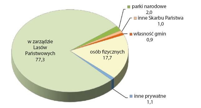 Specyfika produkcji leśnej