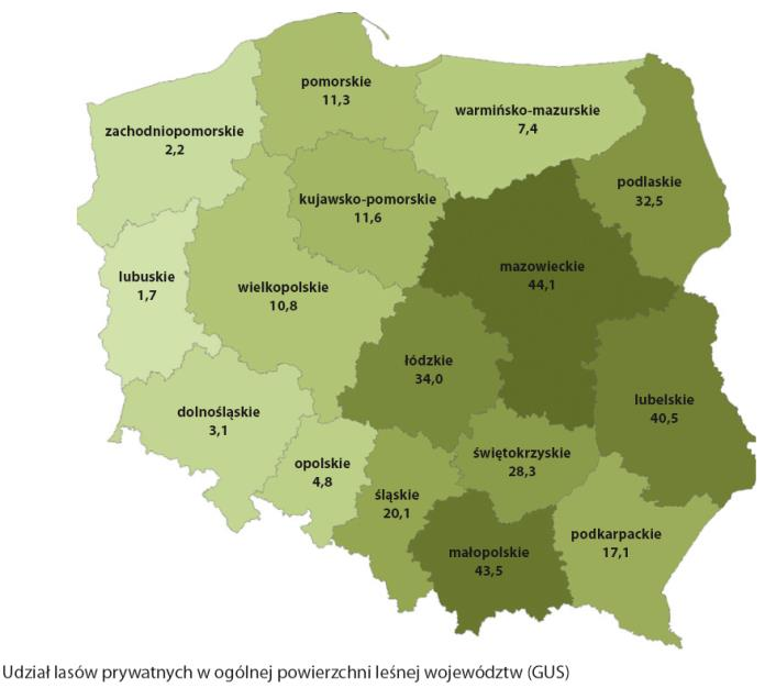 Specyfika produkcji leśnej