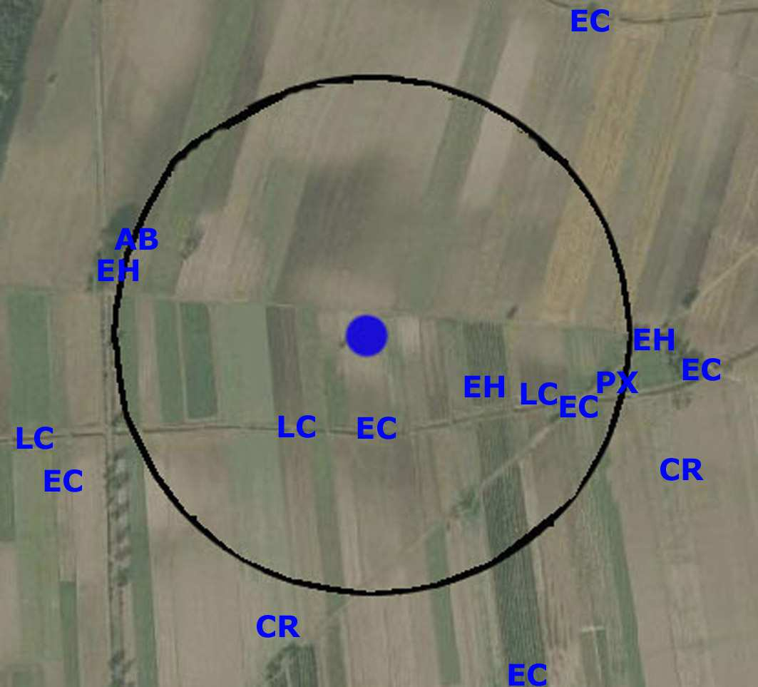 Krukowate. W trakcie sezonu lęgowego stwierdzano cztery gatunki. Cenzusem objęty był kruk Corvus corax dwa stanowiska lęgowe w buforze powierzchni i jedno tuż poza granicami badanej powierzchni.