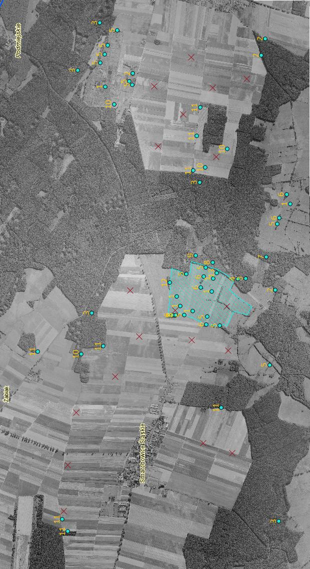 Rys. 6. Opis stanowisk lęgowych, których rozmieszczenie przedstawia rys. 5. 1 derkacz, 2 dudek, 3 dzięcioł czarny, 4 dz.