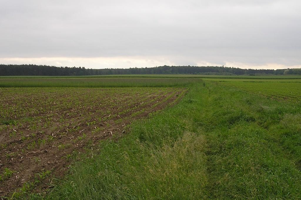 Fot. 2. Teren farmy wiatrowej na północ od Smarchowic Śląskich. Fot. 3.