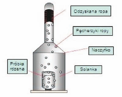 artyuły = e -λ t () Odzys rpy, będący wyniiem prcesu wchłaniania, mżna reślić bezwymiarwą wielścią: R i ( ) = (3) Uwzględniając równanie () trzymujemy: R i = 1 e -λ t (4) Objętść rpy wydbytej pdczas