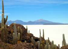 Dzień 10 PUNO / COPACABANA / LA PAZ (B, L) Śniadanie w hotelu. Inca Trail Explorer z Puno do La Paz Overland zabierze nas do Copacabana (Boliwia), położonej na brzegu jeziora Titicaca.