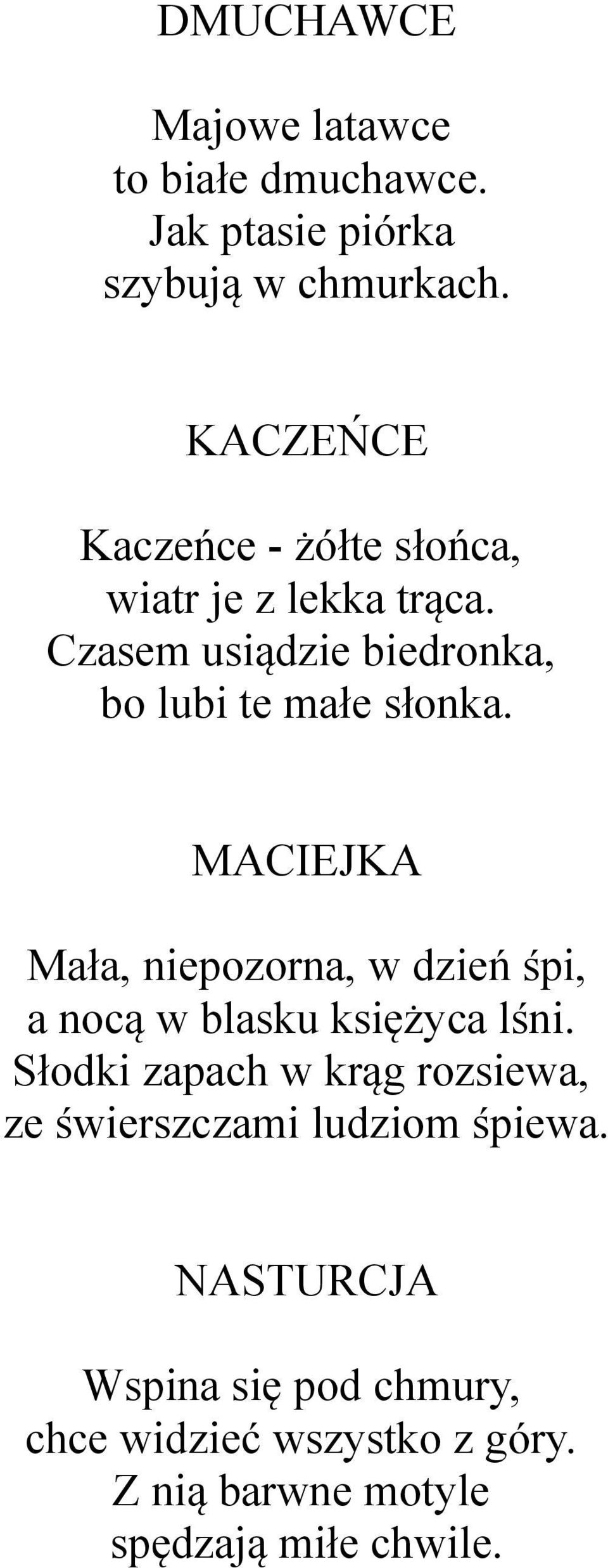 MACIEJKA Mała, niepozorna, w dzień śpi, a nocą w blasku księżyca lśni.