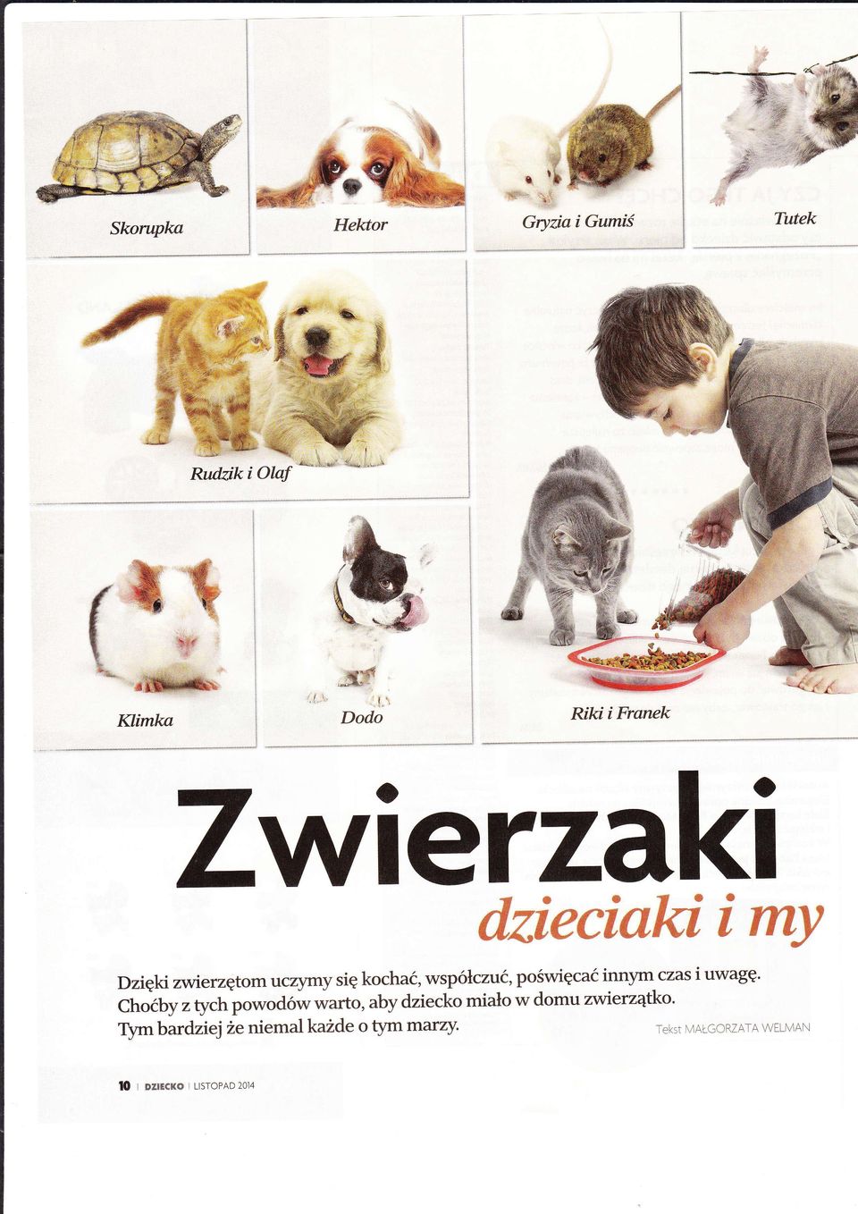 i uwag. Choby ztychpowodw warto, aby dziecko miao w domu zwierztko.