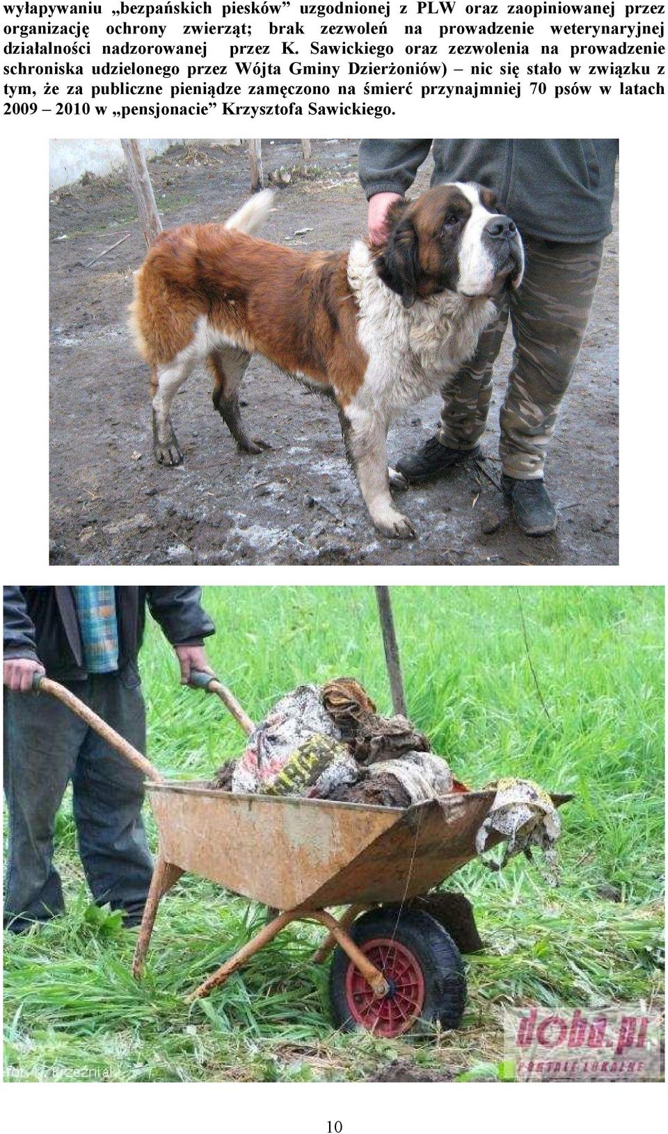 Sawickiego oraz zezwolenia na prowadzenie schroniska udzielonego przez Wójta Gminy Dzierżoniów) nic się