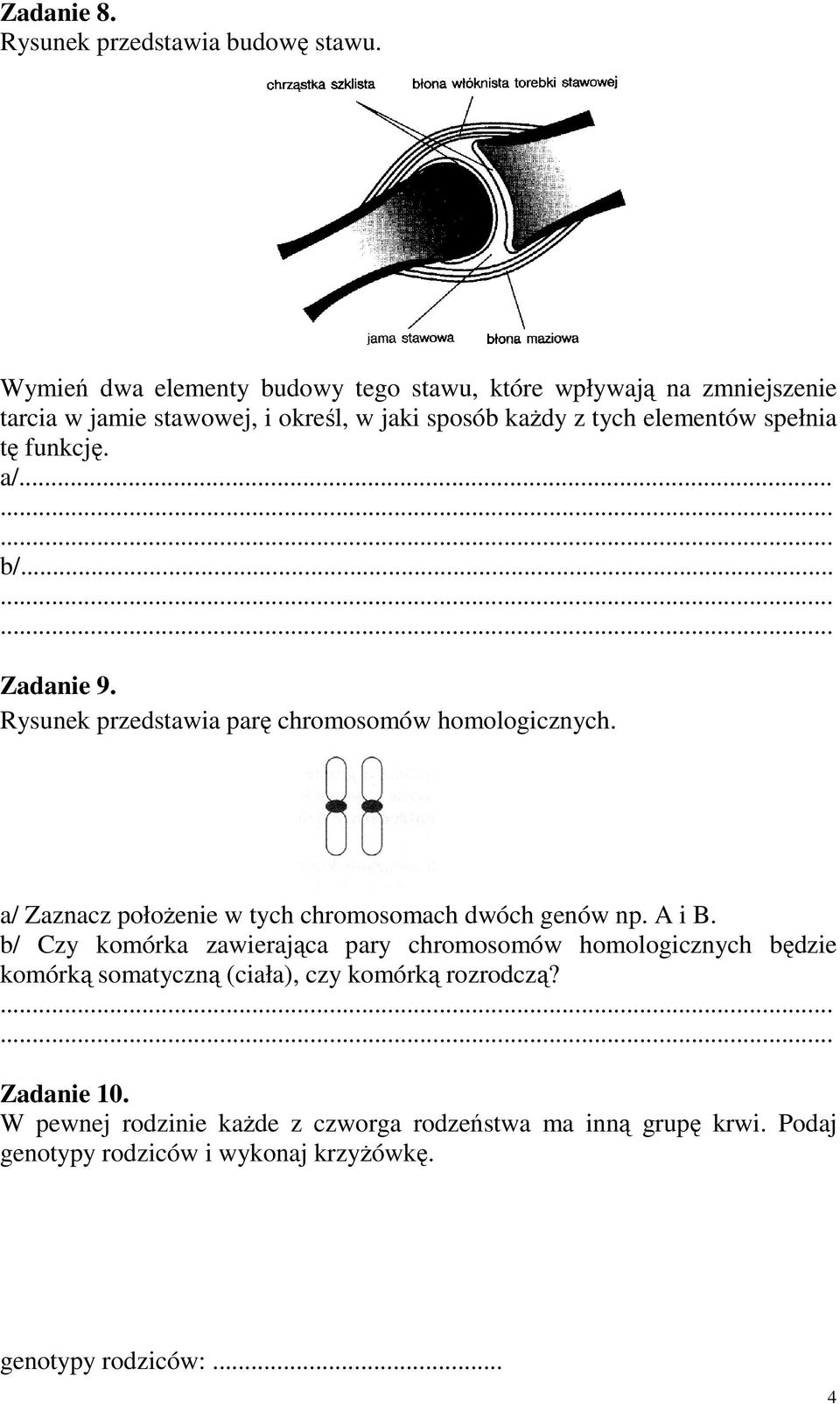 funkcję. a/... b/... Zadanie 9. Rysunek przedstawia parę chromosomów homologicznych. a/ Zaznacz połoŝenie w tych chromosomach dwóch genów np. A i B.