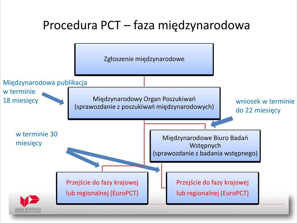 do 22 miesięcy w terminie 30 miesięcy Międzynarodowe Biuro Badań Wstępnych (sprawozdanie z badania