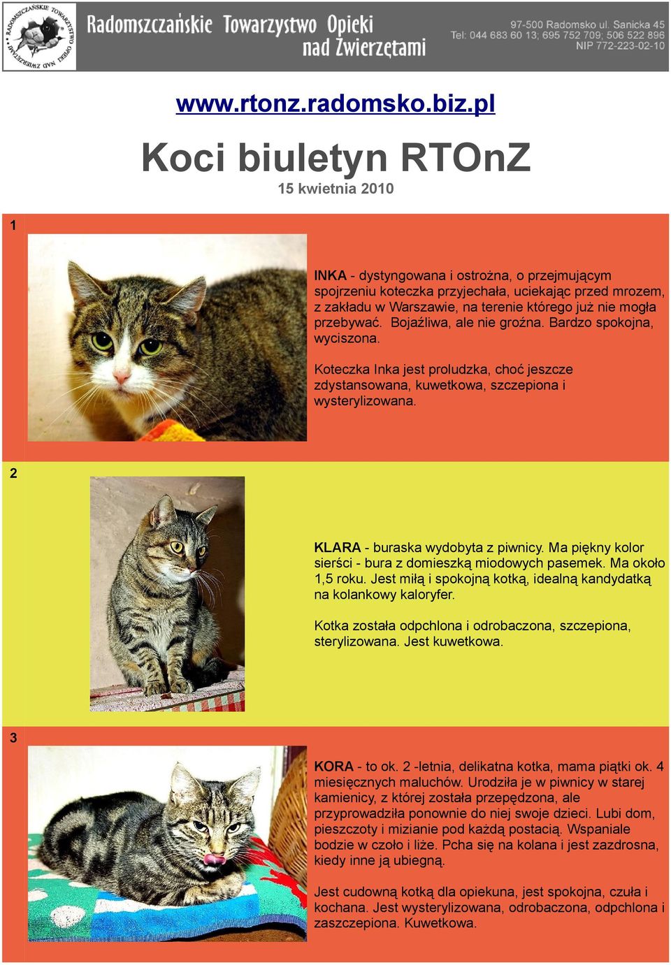 mogła przebywać. Bojaźliwa, ale nie groźna. Bardzo spokojna, wyciszona. Koteczka Inka jest proludzka, choć jeszcze zdystansowana, kuwetkowa, szczepiona i wysterylizowana.