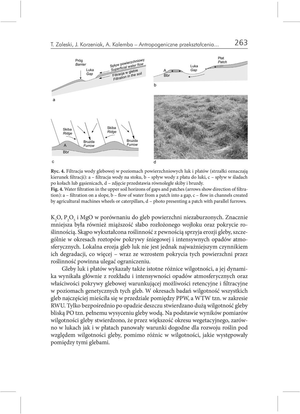 gąsienicach, d zdjęcie przedstawia równoległe skiby i bruzdy. Fig. 4.