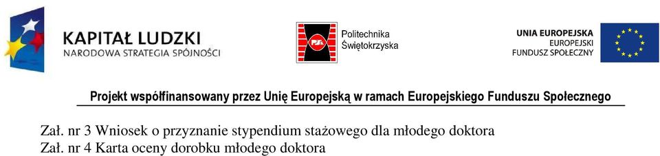 stażowego dla młodego doktora