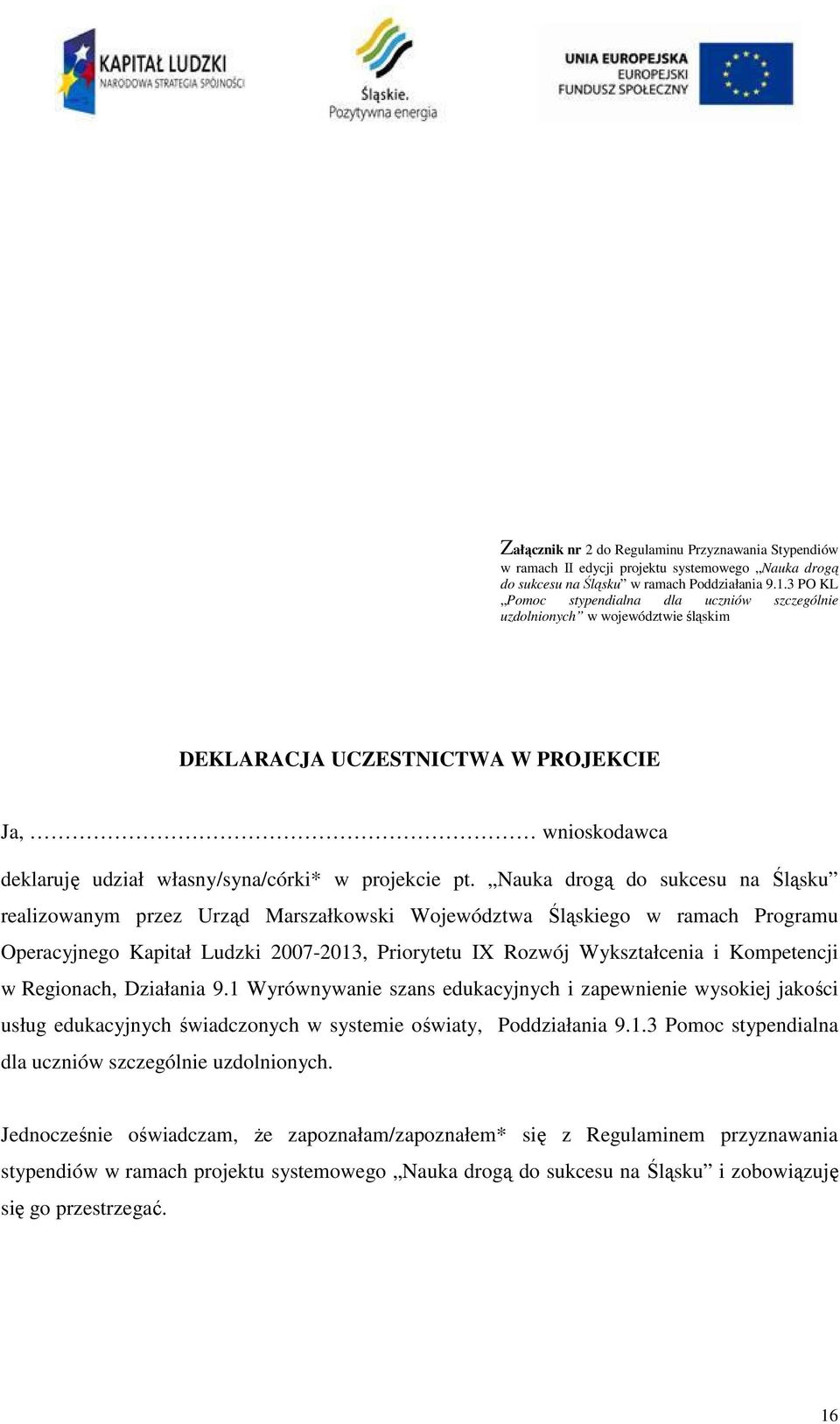 Nauka drogą do sukcesu na Śląsku realizowanym przez Urząd Marszałkowski Województwa Śląskiego w ramach Programu Operacyjnego Kapitał Ludzki 2007-2013, Priorytetu IX Rozwój Wykształcenia i Kompetencji