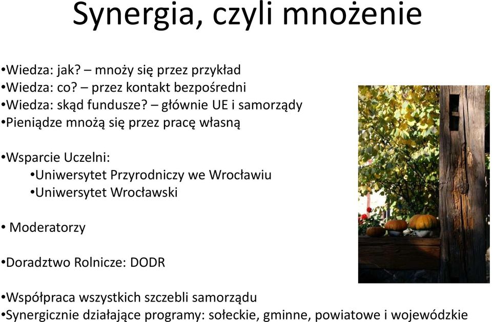 głównie UE i samorządy Pieniądze mnożą się przez pracę własną Wsparcie Uczelni: Uniwersytet Przyrodniczy