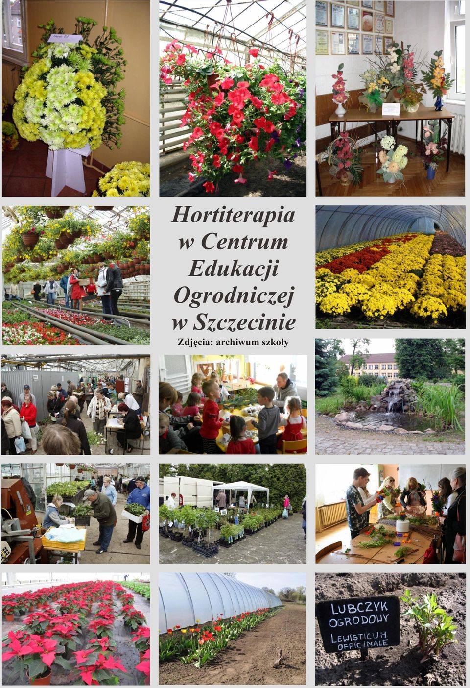 Ogrodniczej w