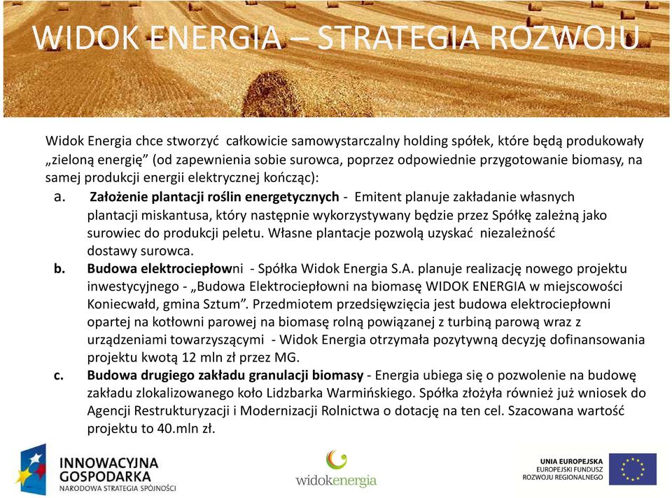 Założenie plantacji roślin energetycznych - Emitent planuje zakładanie własnych plantacji miskantusa, który następnie wykorzystywany będzie przez Spółkę zależną jako surowiec do produkcji peletu.