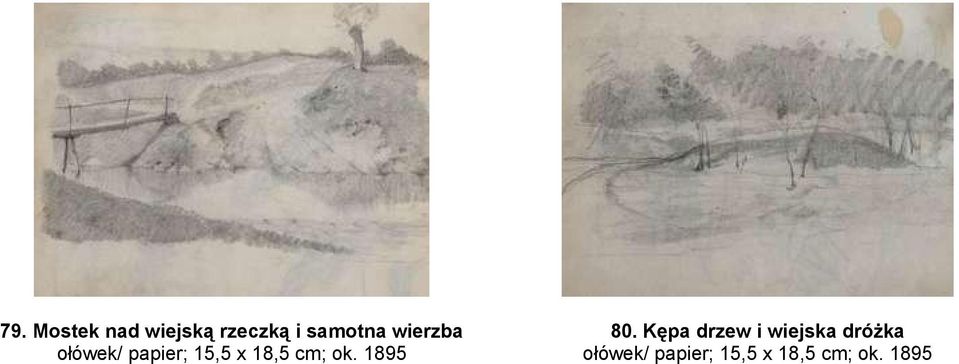 ok. 1895 80.