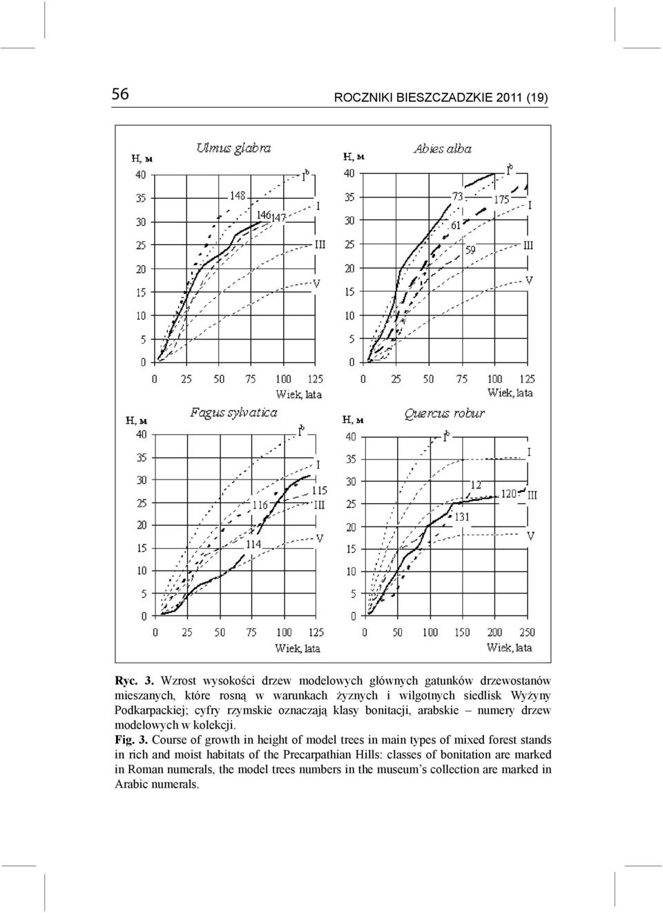 Podkarpackiej; cyfry rzymskie oznaczają klasy bonitacji, arabskie numery drzew modelowych w kolekcji. Fig. 3.
