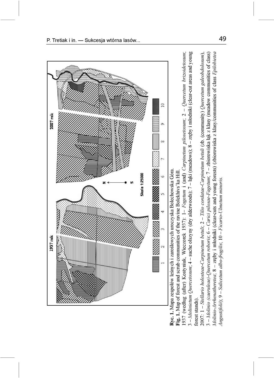 zręby i młodniki (clear-cut areas and young forest stands). 2007: 1 Stellario holosteae-carpinetum betuli; 2 Tilio cordatae-carpinetum betuli (zb.