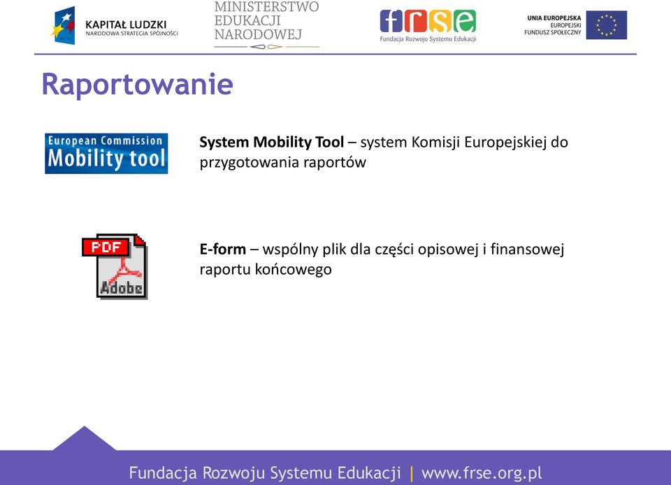 przygotowania raportów E-form wspólny