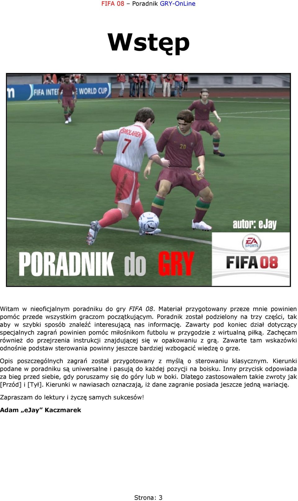 Zawarty pod koniec dział dotyczący specjalnych zagrań powinien pomóc miłośnikom futbolu w przygodzie z wirtualną piłką. Zachęcam również do przejrzenia instrukcji znajdującej się w opakowaniu z grą.