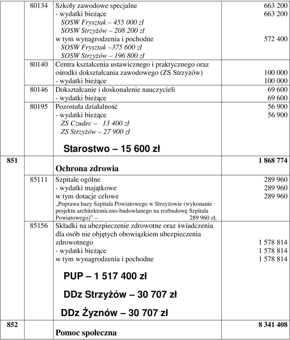 85111 Szpitale ogólne - wydatki majątkowe w tym dotacje celowe Poprawa bazy Szpitala Powiatowego w StrzyŜowie (wykonanie projektu architektoniczno-budowlanego na rozbudowę Szpitala Powiatowego) 289