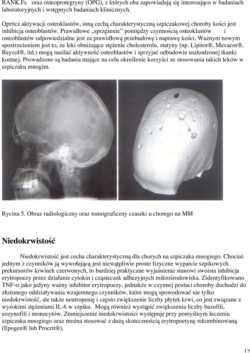 Prawidłowe sprzężenie pomiędzy czynnością osteoklastów i osteoblastów odpowiedzialne jest za prawidłową przebudowę i naprawę kości.