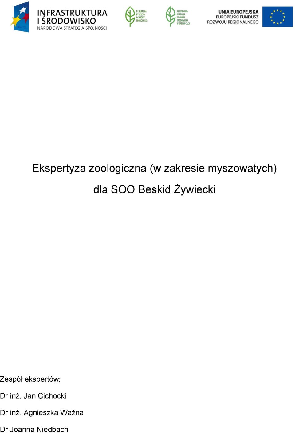 Zespół ekspertów: Dr inż.