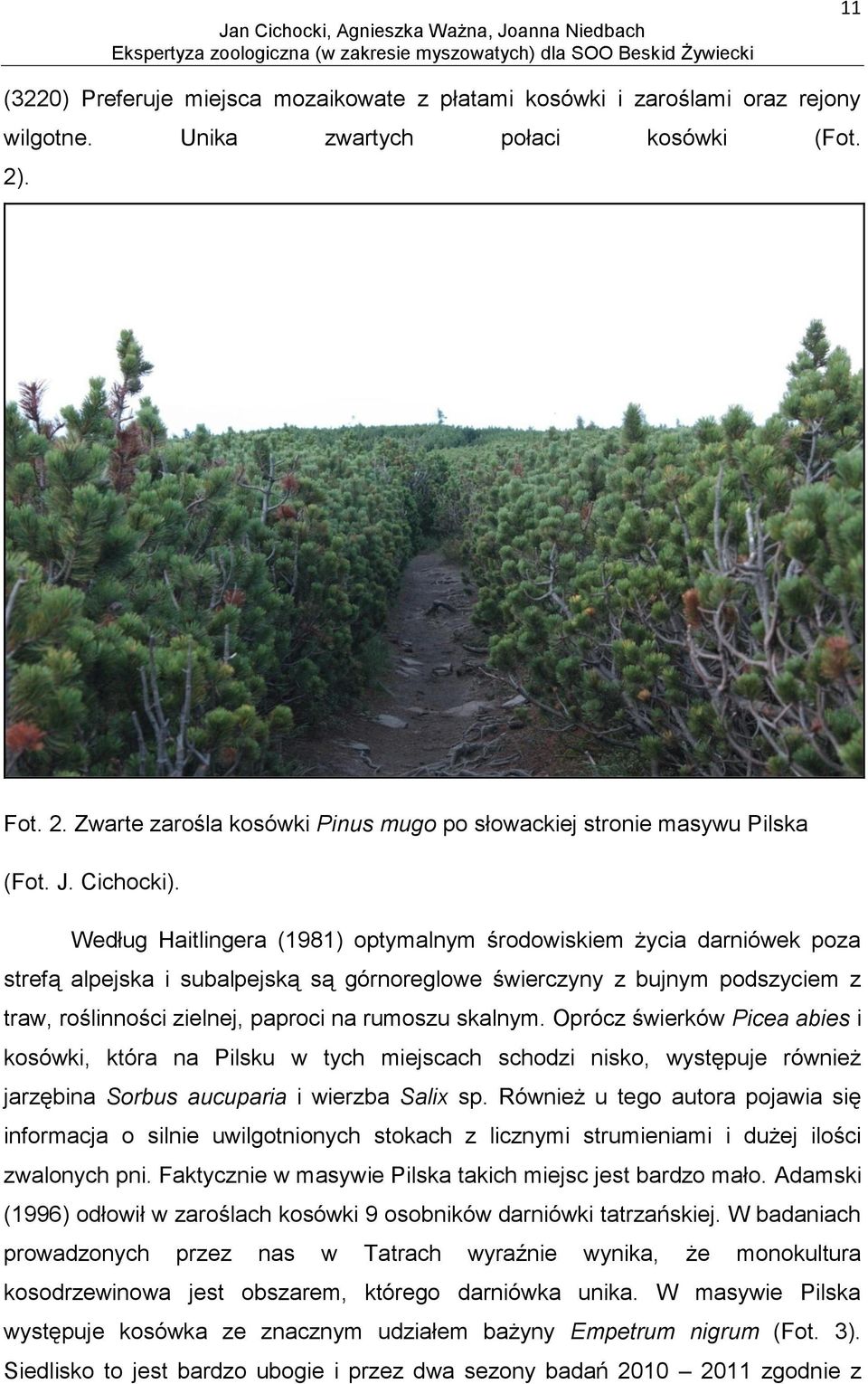 Według Haitlingera (1981) optymalnym środowiskiem życia darniówek poza strefą alpejska i subalpejską są górnoreglowe świerczyny z bujnym podszyciem z traw, roślinności zielnej, paproci na rumoszu