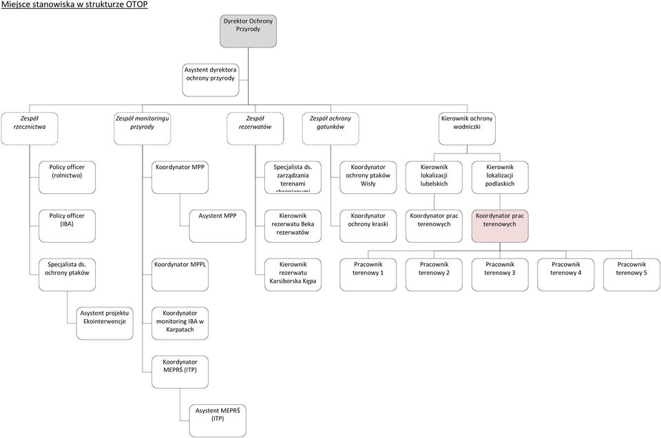 zarządzania terenami chronionymi ochrony ptaków Wisły lokalizacji lubelskich lokalizacji podlaskich Policy officer (IBA) Asystent MPP rezerwatu Beka rezerwatów ochrony