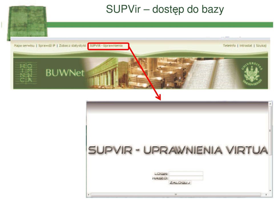 .. SUPVir