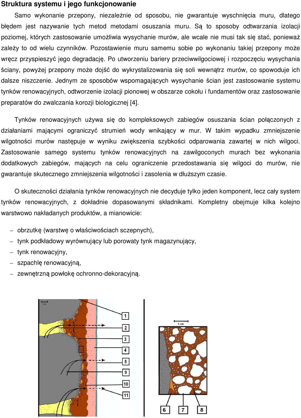 Pozostawienie muru samemu sobie po wykonaniu takiej przepony może wręcz przyspieszyć jego degradację.