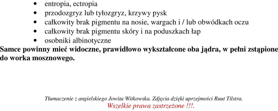 powinny mieć widoczne, prawidłowo wykształcone oba jądra, w pełni zstąpione do worka mosznowego.