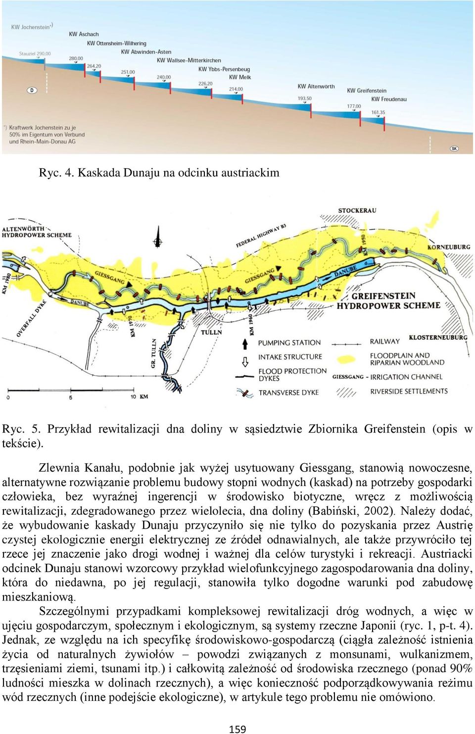 ingerencji w środowisko biotyczne, wręcz z możliwością rewitalizacji, zdegradowanego przez wielolecia, dna doliny (Babiński, 2002).