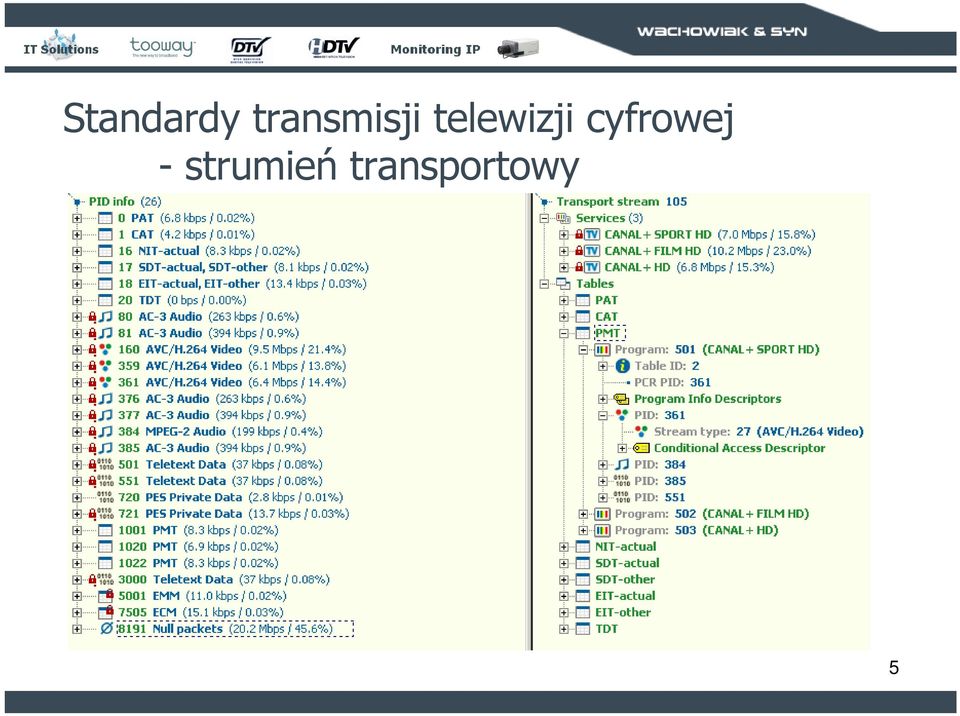 telewizji